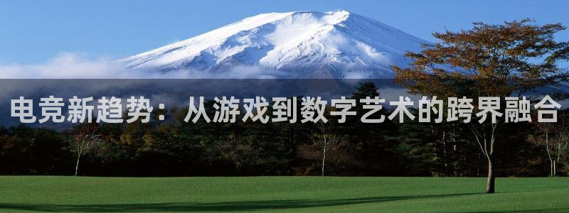 MK电竞官网：电竞新趋势：从游戏到数字艺术的跨界融合