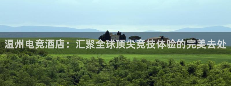 MK电竞官网：温州电竞酒店：汇聚全球顶尖竞技体验的完美去处