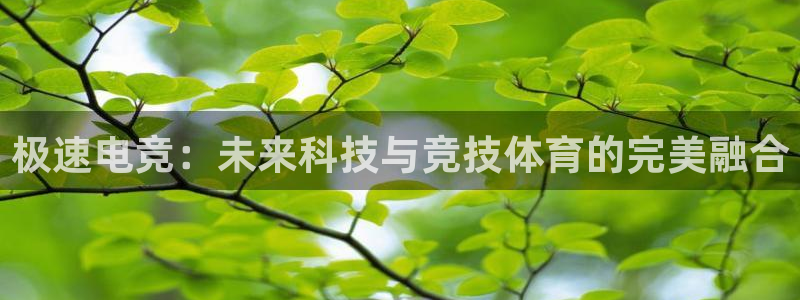 MK电竞官网：极速电竞：未来科技与竞技体育的完美融合