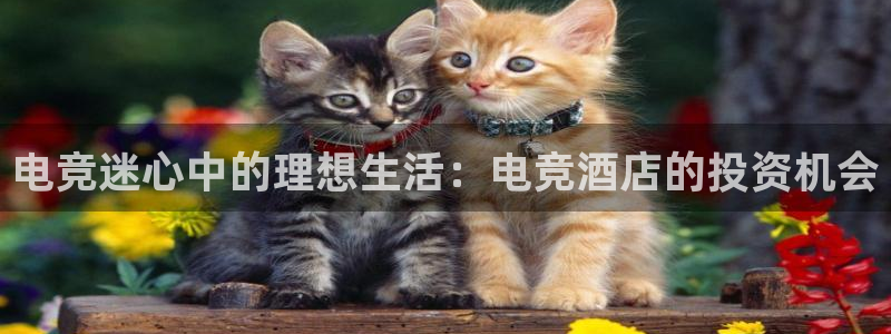 mk电子竞技：电竞迷心中的理想生活：电竞酒店的投资机会