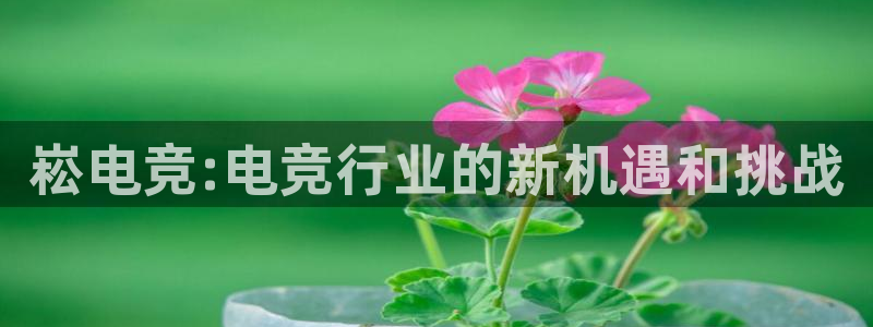 MK电竞官网：崧电竞:电竞行业的新机遇和挑战