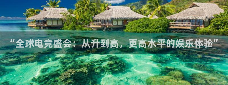 MK电竞官网：“全球电竞盛会：从升到高，更高水平的娱乐体验”